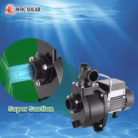 1,25 Zoll 4 Zoll DC Tauch-Tiefbrunnen-Solarwasserpumpe AC